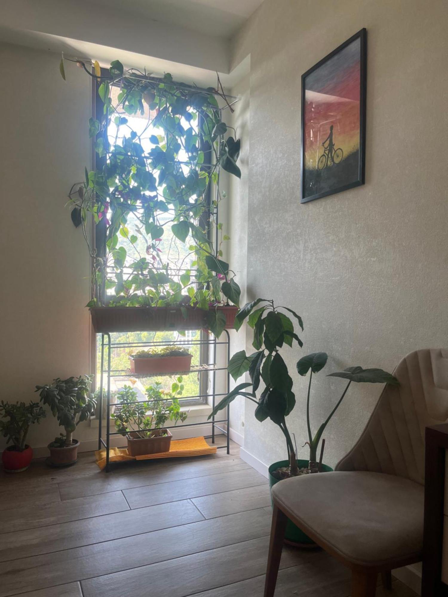 Panorama Khiliani Apartamento Tbilisi Exterior foto